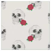 Crâne et tissu rose (Fermer)