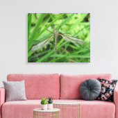 Crane Fly Canvas Print (Insitu (Woonkamer))