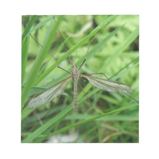 Crane Fly Notepad Notitieblok (Voorkant)
