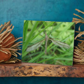 Crane Fly Plaque Fotoplaat (Zijkant)