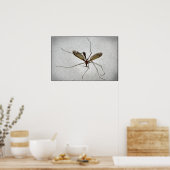 Crane Fly Poster (Keuken)