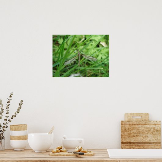 Crane Fly Print (Keuken)
