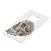 Crâne humain (Dos Angle)