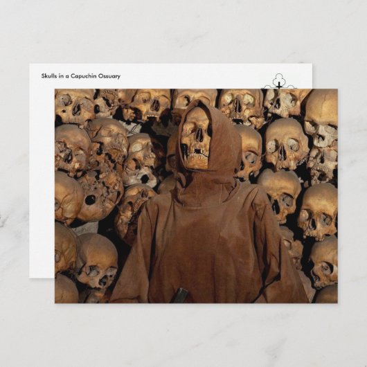 Crânes dans un ossuaire de capucins Carte postale (Devant / Derrière)
