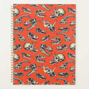Crânes de dinosaures orange et marine