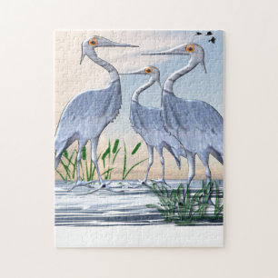 Cranes Puzzle Legpuzzel