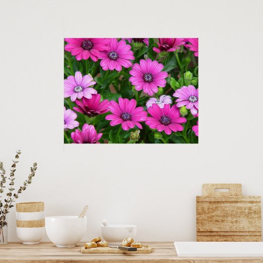 Cranesbill Geranium (roze bloemen) Afdruk/Poster Poster (Keuken)