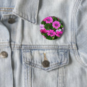 Cranesbill Geranium (roze bloemen) Button (In situ)