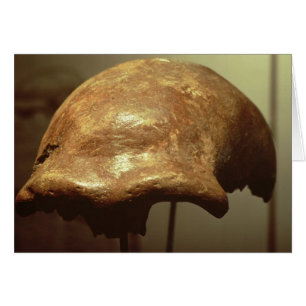Cranium van een Neanderthaler