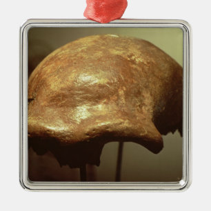 Cranium van een Neanderthaler Metalen Ornament