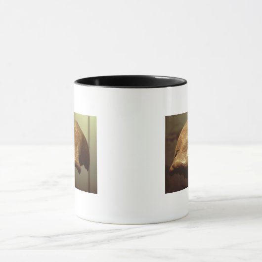 Cranium van een Neanderthaler Mok (Midden)