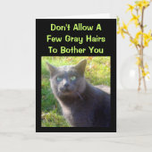 Cranky Cat Carte d'Anniversaire Humoristique (Fleur jaune)