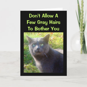 Cranky Cat Humorous Birthday Kaart