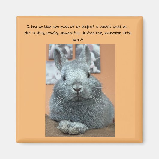 Cranky Rabbit Fridge Magnet Magneet (Voorkant)
