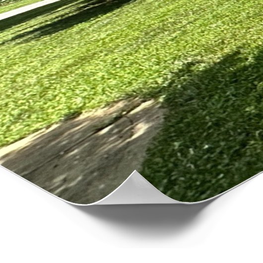 Crape Myrtle Struik, Poster (Hoek)