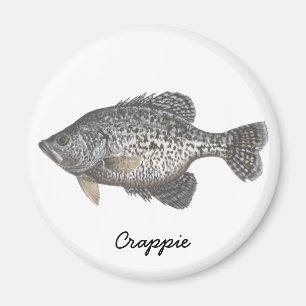 CRAPPIE, Crappie Magneet
