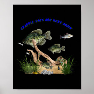 Crappie-dagen zijn hier weer leuk buitenshuis viss poster