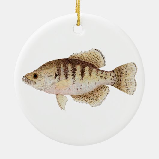 Crappie kerstversiering keramisch ornament (Achterkant)