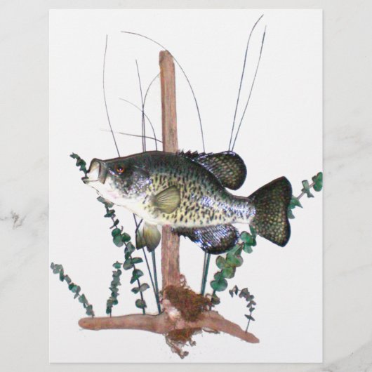 Crappie Mount (Voorkant)