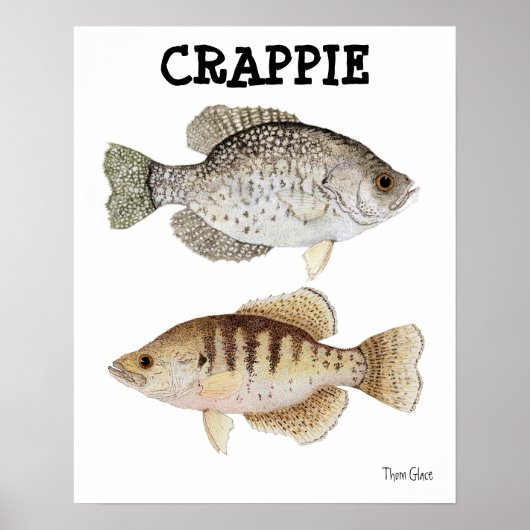 Crappie Poster (Voorkant)