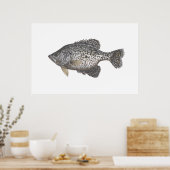 Crappie Poster (Keuken)