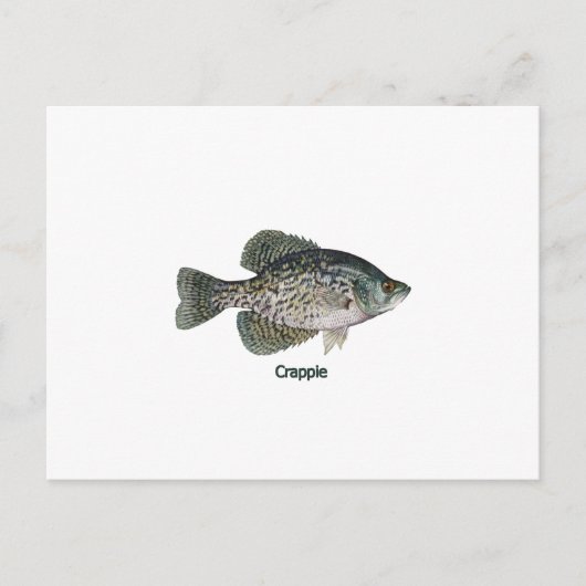 Crappie (titel) briefkaart (Voorkant)