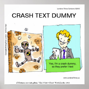 Crash Text Dummy Grappige Poster