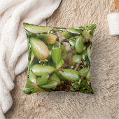 Crassula ovata Lance Coussin (Couverture)