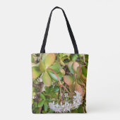 Crassula ovata sur tout le sac d'impression (Dos)