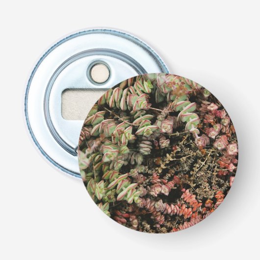Crassula perforata button flesopener (Voorkant)