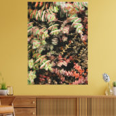 Crassula perforata canvas afdruk (Insitu (Woonkamer))