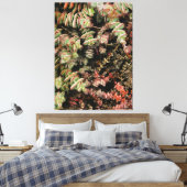 Crassula perforata canvas afdruk (Insitu (Slaapkamer))