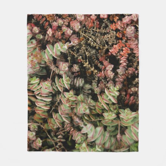 Crassula perforata fleece deken (Voorkant)