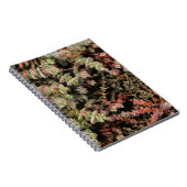 Crassula perforata notitieboek (Rechterzijde)