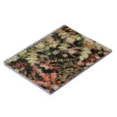 Crassula perforata notitieboek (Linkerzijde)