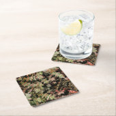 Crassula perforata vierkante kartonnen onderzetter (Insitu)