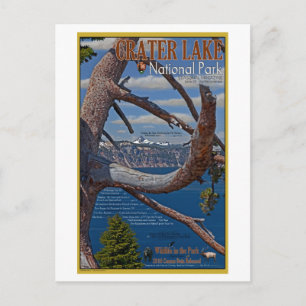 Crater Lake - zomer 2011 Briefkaart