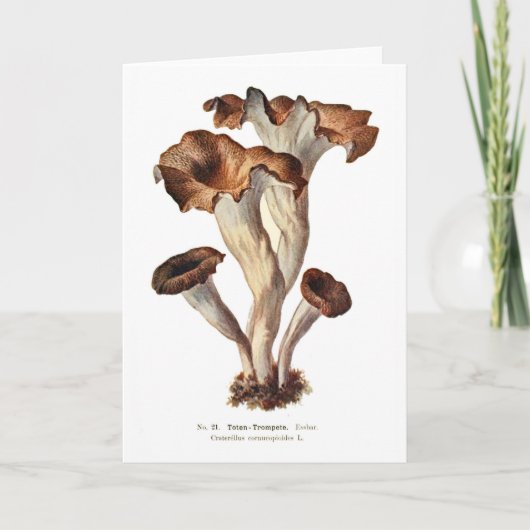 Craterellus cornucopioides kaart (Voorkant)