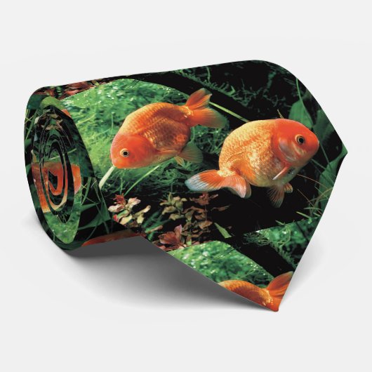 CRAVATE ら ん ち ゅ う ク タ (Roulé)