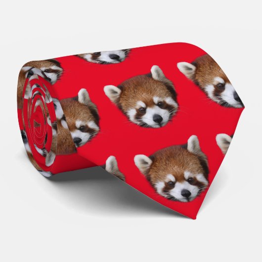 CRAVATE レッサーパンダ (Roulé)