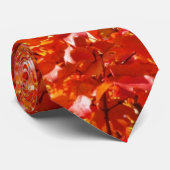 Cravate 2 de feuillage d'automne (Roulé)
