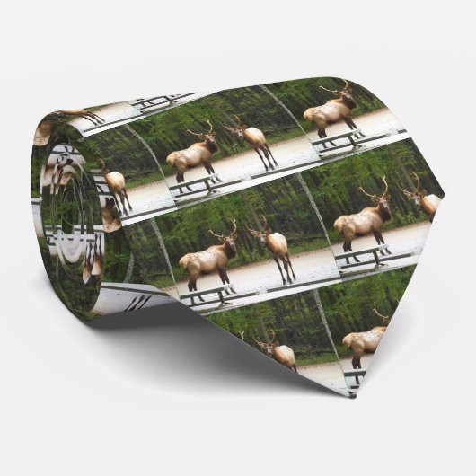 Cravate 2 élans de montagne rocheuse (Roulé)