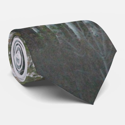 Cravate à bouleau blanc (Roulé)