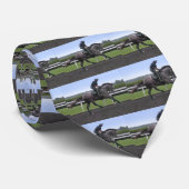 Cravate à cheval gris (Roulé)