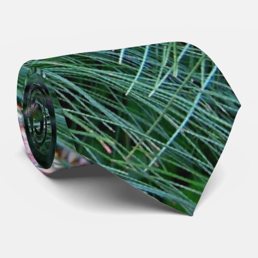 Cravate à la mode de pin (Roulé)