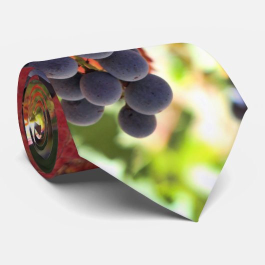 Cravate à vin (Roulé)