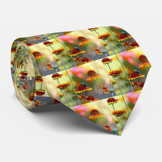 Cravate Abee sur Gaillardia (Roulé)