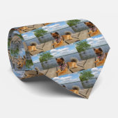 Cravate Adorable chien spitz nain furieux (Roulé)