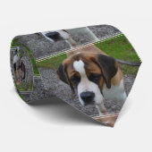 Cravate Adorable St Bernard (Roulé)