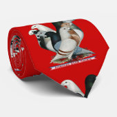 Cravate Afficher huit pilotes (Roulé)